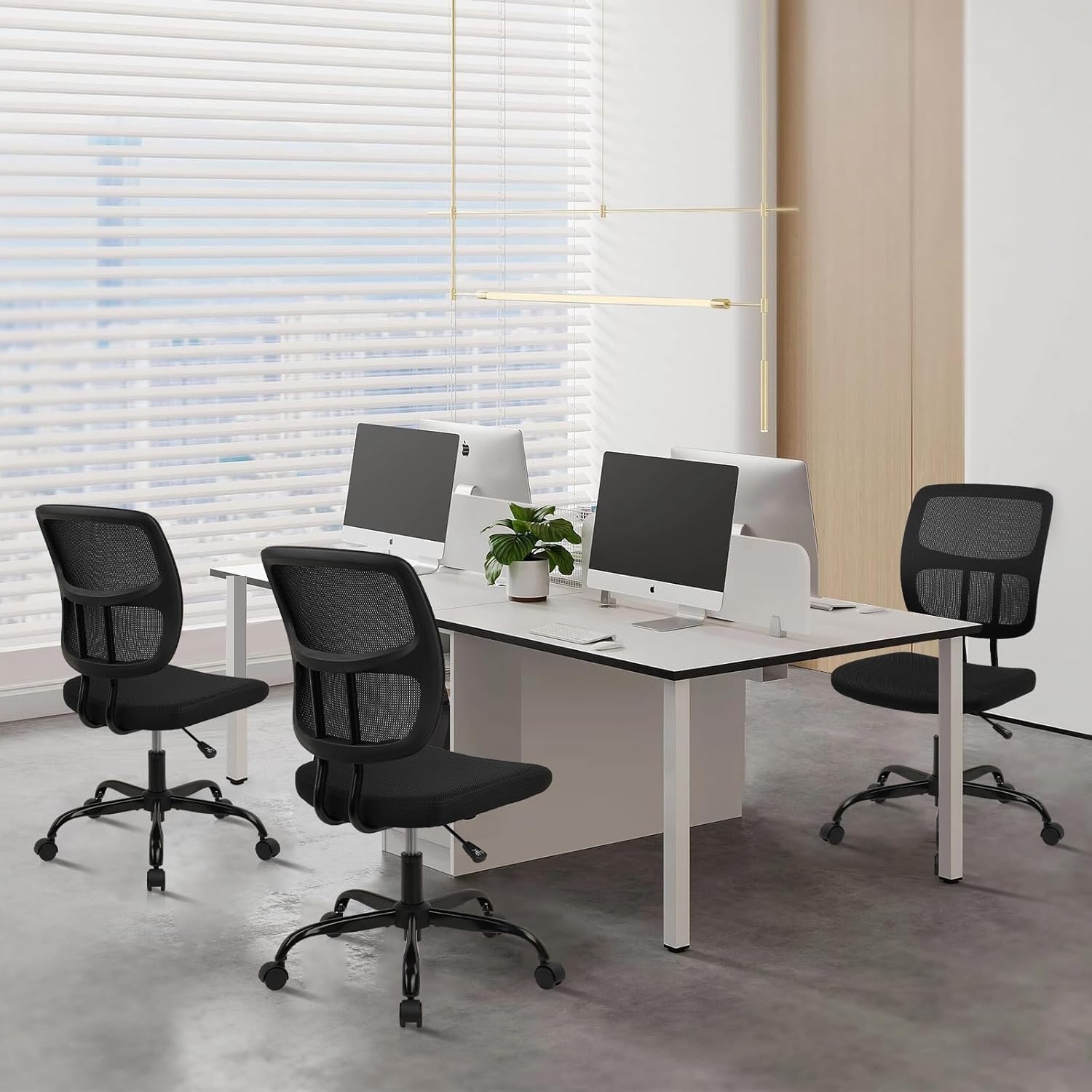 image:imageCLATINA Armless Home Office Chair Ergonomic Small Desk Chair with Wheels and Soft Thick Upholstered Cushion Comfy Adjustable Height Swivel Computer Task Chair for Conference Waiting Meeting BlackBlacksprain